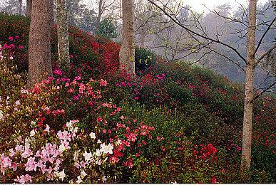 《绝区零》新角色希德引关注 果然光脚的比穿鞋的更有引力